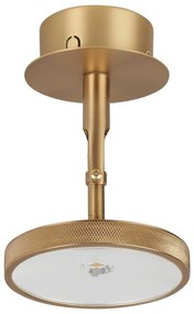 LED bodové svietidlo v zlatej farbe ø 12 cm Asteria Spot – UMAGE