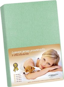 Bellatex Jersey prestieradlo s elastanom svetlozelená, 100 x 200 cm