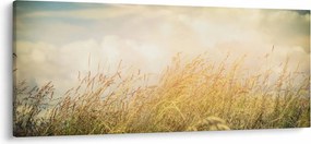Obraz - Pole na jeseň (120x50 cm)