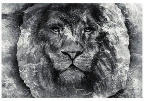 Samolepiaca tapeta tvár leva v čiernobielom prevedení