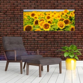 Obraz - Slnečnica (120x50 cm)