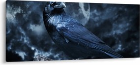 Obraz - Havran (120x50 cm)