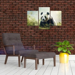 Obraz - Panda (90x60 cm)