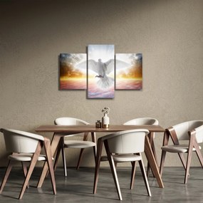 Obraz holubice (90x60 cm)