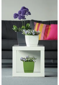 Plastový truhlík Coubi Case s miskou biela, 39 cm