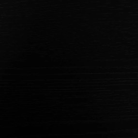 Konferenčný stolík v dekore jaseňa v čiernej a prírodnej farbe 60x124 cm Orleans – Ixia