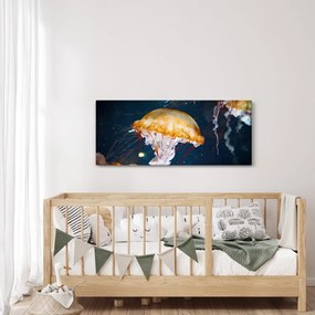 Obraz medúzy (120x50 cm)