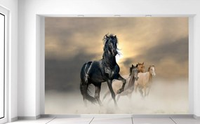 Gario Fototapeta Nádherný čierny kôň Materiál: Samolepiaca, Rozmery: 200 x 135 cm