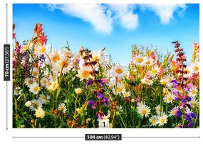 Fototapeta Vliesová Jarné kvety 416x254 cm