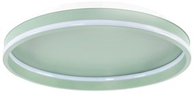 Toolight Toolight, LED stropné svietidlo 40cm, 4000 lm, 22W, 4000K, APP1463, zelená, OSW-08641