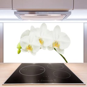 Sklenený obklad Do kuchyne Orchidea výhonky kvety príroda 120x60 cm