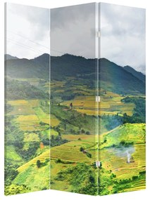 Paraván - Plantáž (126x170 cm)