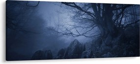 Obraz temného lesa (120x50 cm)