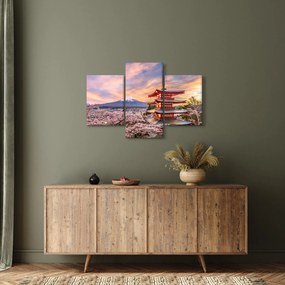 Obraz - Fudži, Japonsko (90x60 cm)