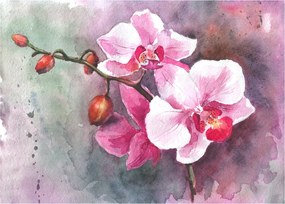 Sklenený obraz - Orchidey, aquarel (70x50 cm)