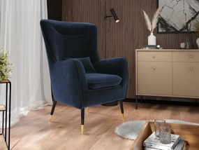Čalúnené kreslo Arisean, Dostupné poťahy: Magic Velvet 2216