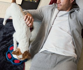 Inteligenčná hračka pre psov