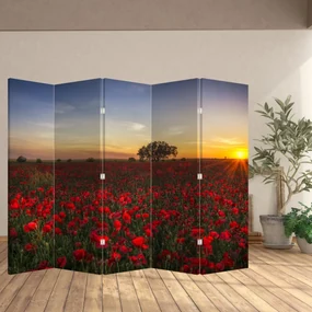 Paraván - Lúka s vlčími makmi (210x170 cm)