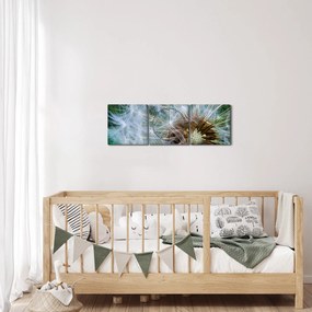 Obraz odkvitnutej púpavy (s hodinami) (90x30 cm)