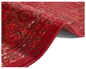 Červený koberec Hanse Home Celebration Plume, 120 x 170 cm