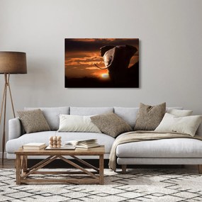 Obraz slona (90x60 cm)
