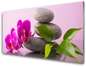 Obraz plexi Kvet kamene zen rastlina 100x50 cm