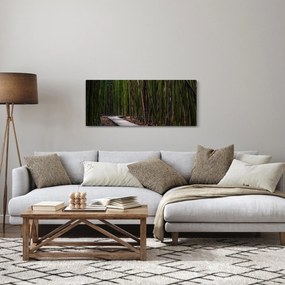 Obraz - Medzi bambusy (120x50 cm)