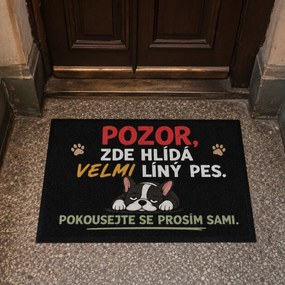Mercury Flooring, Rohožka Líný pes 40x60 cm - na von aj na doma, 40x60, šedá