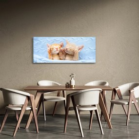 Obraz - Spiace mačiatka (120x50 cm)