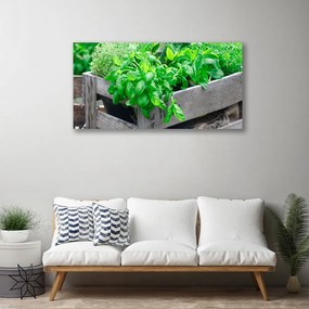Obraz na plátne Listy príroda rastlina 120x60 cm