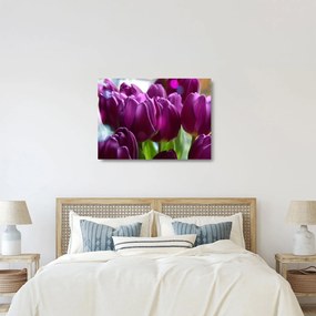 Sklenený obraz tulipánov (70x50 cm)