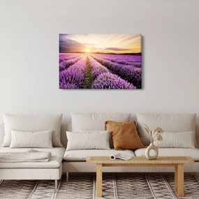 Obraz - Východ slnka v levanduľovom poli (90x60 cm)