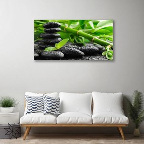 Obraz na plátne Bambus kamene rastlina 125x50 cm