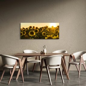 Obraz slnečnicového poľa (120x50 cm)