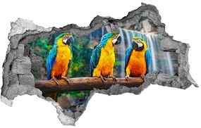 Diera 3D fototapeta nálepka Papagáje na vetve nd-b-73798954