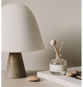 Vonný difuzér Pine forest 100ml, ihličnatý les