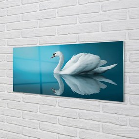 Obraz na akrylátovom skle Swan vo vode 120x60 cm