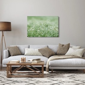 Obraz - Rosa v tráve (90x60 cm)