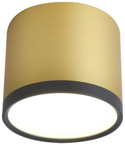 CLX LED stropné bodové svetlo EMILIA-ROMAGNA, 9W, denná biela, 8,8x7,5cm, okrúhle, čiernozlaté