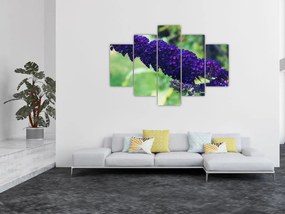 Obraz modrej kvetiny (150x105 cm)