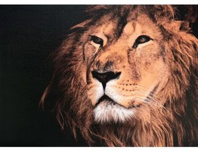 Obraz tlačený na plátne 50x70 PRC1004