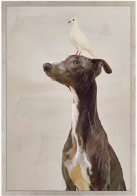 Nástenná dekorácia v ráme Greyhound Dog And Dove