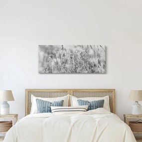 Obraz - Chladná zima (120x50 cm)