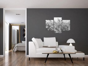 Obraz - Tráva vo vetre (90x60 cm)