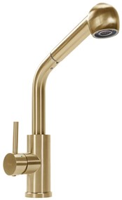 Rea Troy, stojanková kuchynská batéria 34 cm, zlatá matná, REA-B6302