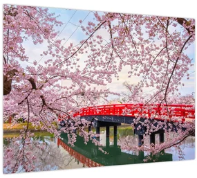 Obraz - Hirosaki, Japonsko (70x50 cm)