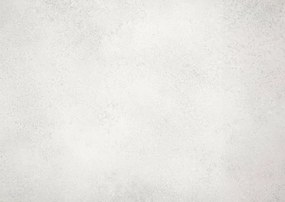 PVC podlaha Rapido Porfido 592 sivá / betón