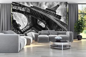 Fototapeta - Paríž (254x184 cm)