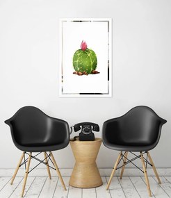 Obraz Kaktus na zrkadle Mirrora 67 - 60x40 cm