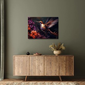 Obraz - Kolibrík (70x50 cm)